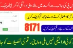 8171-Web-Portal-2025-Check-Recent-Release-Payment-Using-CNIC-Know-Full-Details-Step-By-Step