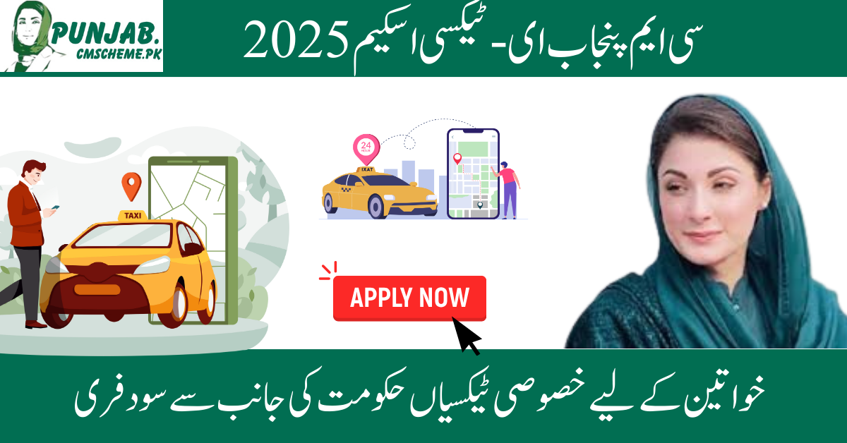 CM Punjab E-Taxi Scheme 2025