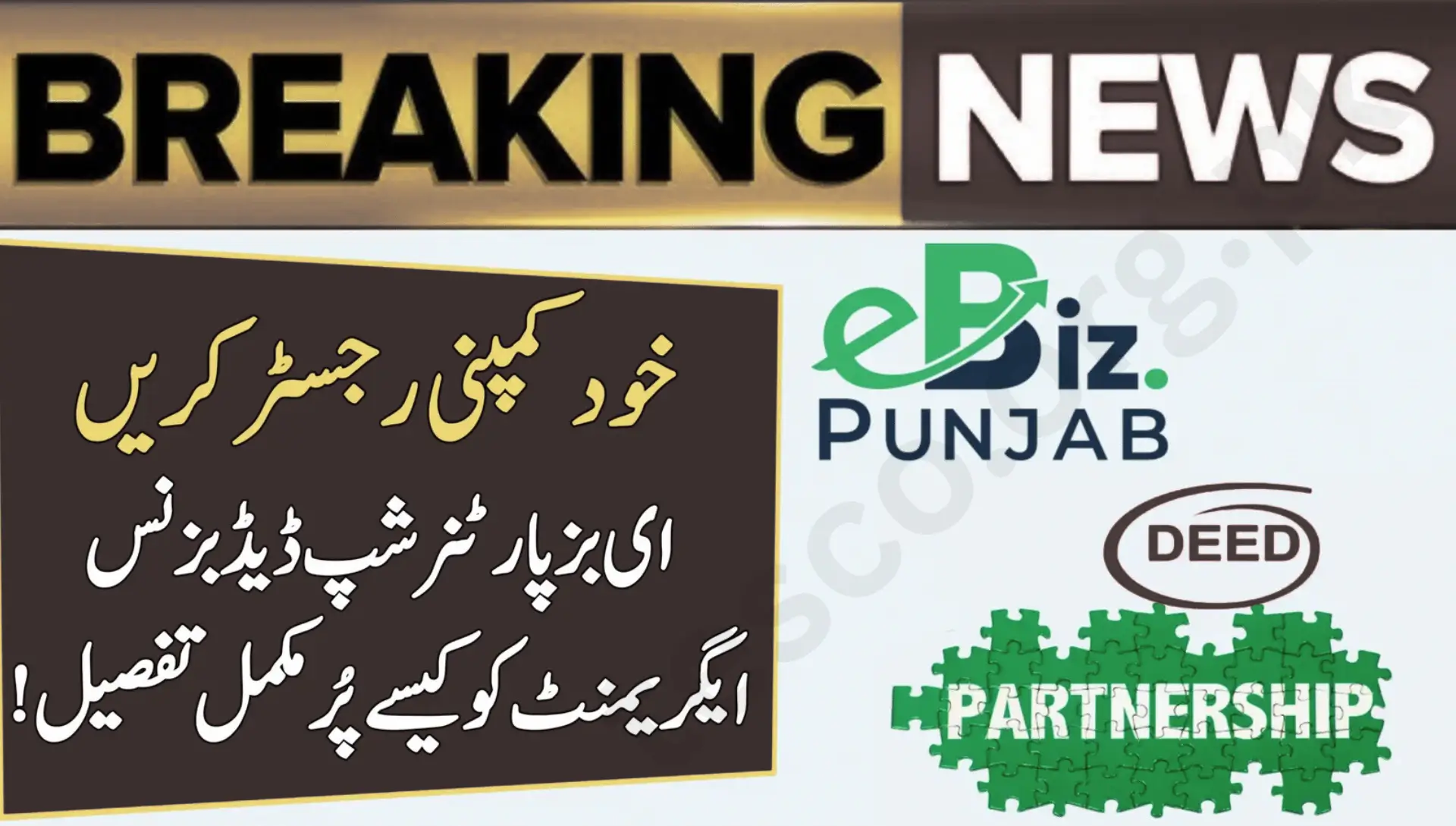 eBiz Partnership Deed